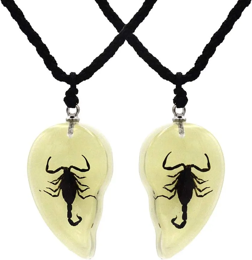 Insect & Scropions Necklace, Insect Pendant, Scropions Pendant Necklace