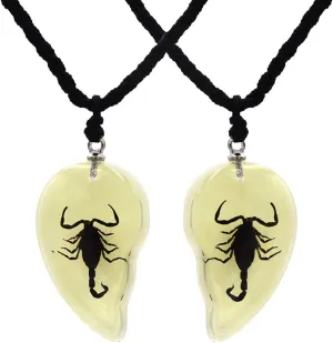 Insect & Scropions Necklace, Insect Pendant, Scropions Pendant Necklace